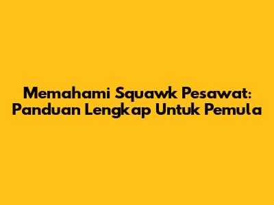 Memahami Squawk Pesawat: Panduan Lengkap Untuk Pemula