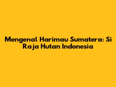 Mengenal Harimau Sumatera: Si Raja Hutan Indonesia
