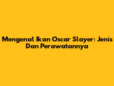 Mengenal Ikan Oscar Slayer: Jenis Dan Perawatannya