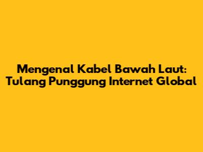 Mengenal Kabel Bawah Laut: Tulang Punggung Internet Global