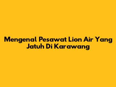 Mengenal Pesawat Lion Air Yang Jatuh Di Karawang