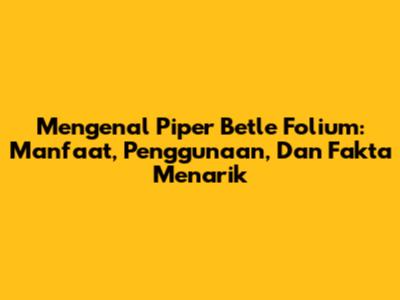 Mengenal Piper Betle Folium: Manfaat, Penggunaan, Dan Fakta Menarik
