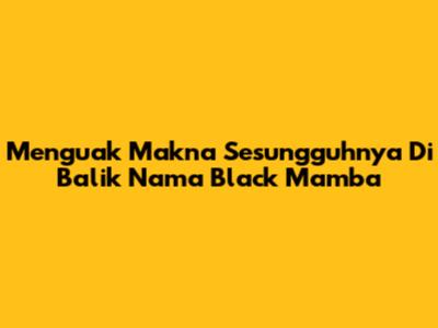 Menguak Makna Sesungguhnya Di Balik Nama Black Mamba