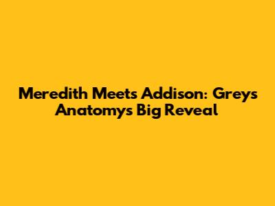 Meredith Meets Addison: Grey's Anatomy's Big Reveal