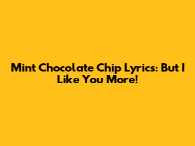 Mint Chocolate Chip Lyrics: But I Like You More!