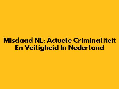 Misdaad NL: Actuele Criminaliteit En Veiligheid In Nederland