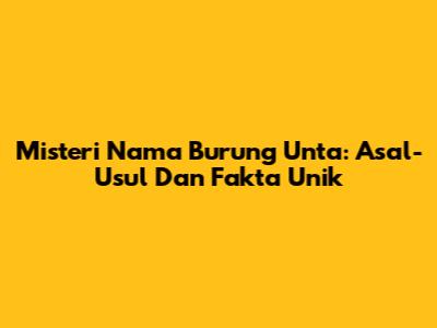 Misteri Nama Burung Unta: Asal-Usul Dan Fakta Unik