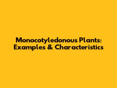 Monocotyledonous Plants: Examples & Characteristics