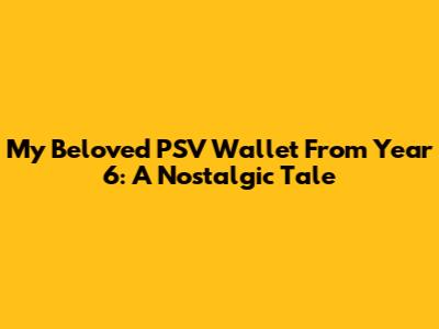 My Beloved PSV Wallet From Year 6: A Nostalgic Tale