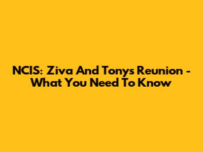 NCIS: Ziva And Tony's Reunion - What You Need To Know
