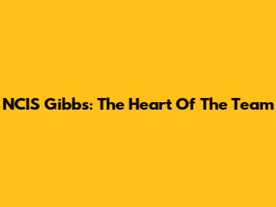 NCIS Gibbs: The Heart Of The Team