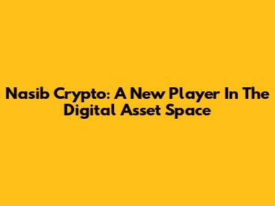 Nasib Crypto: A New Player In The Digital Asset Space