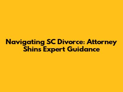 Navigating SC Divorce: Attorney Shin's Expert Guidance