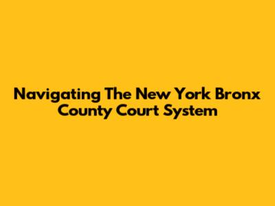 Navigating The New York Bronx County Court System