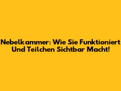 Nebelkammer: Wie Sie Funktioniert Und Teilchen Sichtbar Macht!