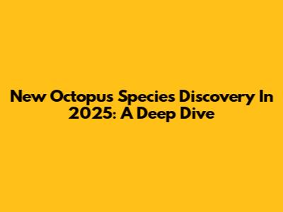 New Octopus Species Discovery In 2025: A Deep Dive