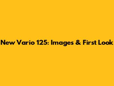 New Vario 125: Images & First Look