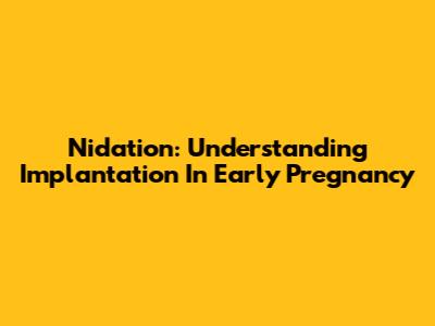 Nidation: Understanding Implantation In Early Pregnancy