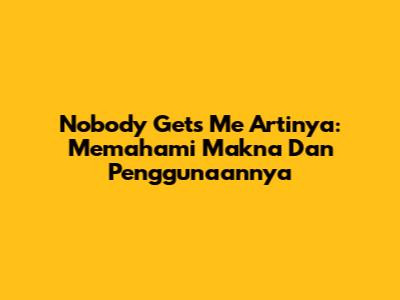 Nobody Gets Me Artinya: Memahami Makna Dan Penggunaannya