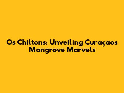 O's Chilton's: Unveiling Curaçao's Mangrove Marvels