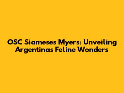 OSC Siameses Myers: Unveiling Argentina's Feline Wonders