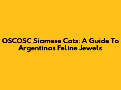 OSCOSC Siamese Cats: A Guide To Argentina's Feline Jewels