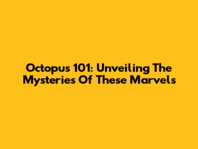 Octopus 101: Unveiling The Mysteries Of These Marvels