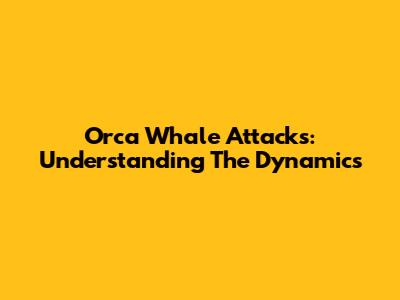 Orca Whale Attacks: Understanding The Dynamics
