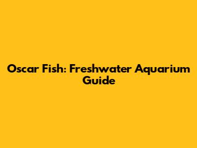 Oscar Fish: Freshwater Aquarium Guide