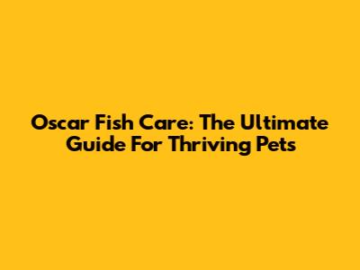 Oscar Fish Care: The Ultimate Guide For Thriving Pets