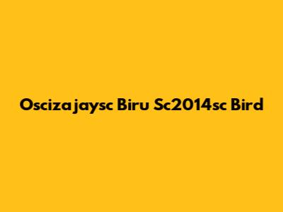Oscizajaysc Biru Sc2014sc Bird