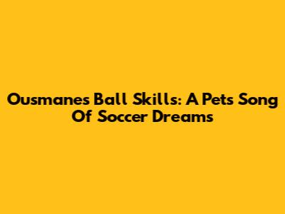 Ousmane's Ball Skills: A Pet's Song Of Soccer Dreams