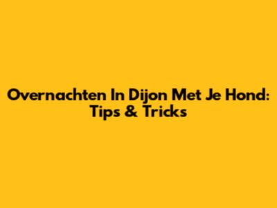 Overnachten In Dijon Met Je Hond: Tips & Tricks