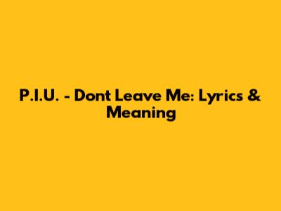 P.I.U. - Don't Leave Me: Lyrics & Meaning