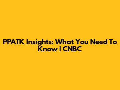 PPATK Insights: What You Need To Know | CNBC
