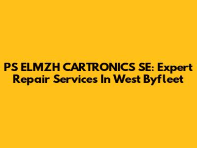 PS ELMZH CARTRONICS SE: Expert Repair Services In West Byfleet