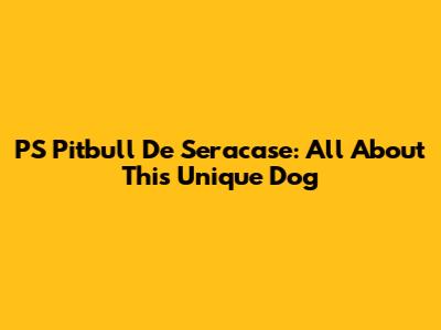 PS Pitbull De Seracase: All About This Unique Dog