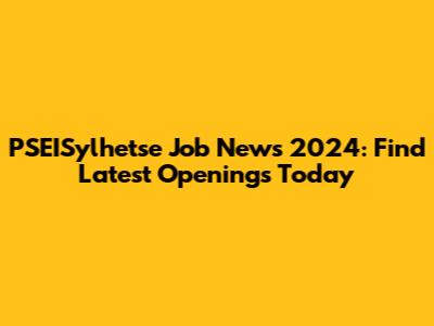 PSEISylhetse Job News 2024: Find Latest Openings Today