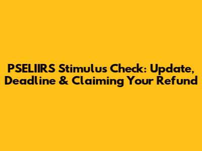 PSELIIRS Stimulus Check: Update, Deadline & Claiming Your Refund