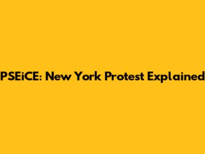 PSEiCE: New York Protest Explained