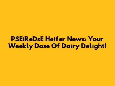 PSEiReDsE Heifer News: Your Weekly Dose Of Dairy Delight!