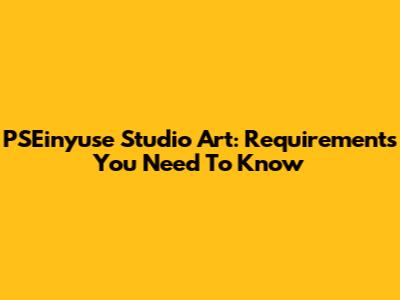 PSEinyuse Studio Art: Requirements You Need To Know