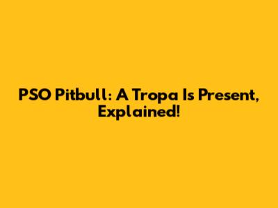 PSO Pitbull: A Tropa Is Present, Explained!