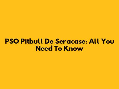 PSO Pitbull De Seracase: All You Need To Know