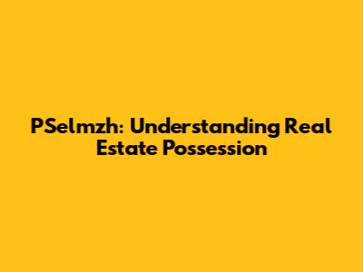 PSelmzh: Understanding Real Estate Possession