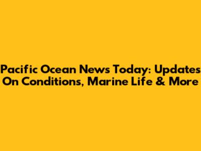 Pacific Ocean News Today: Updates On Conditions, Marine Life & More