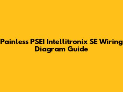 Painless PSEI Intellitronix SE Wiring Diagram Guide