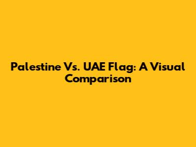 Palestine Vs. UAE Flag: A Visual Comparison
