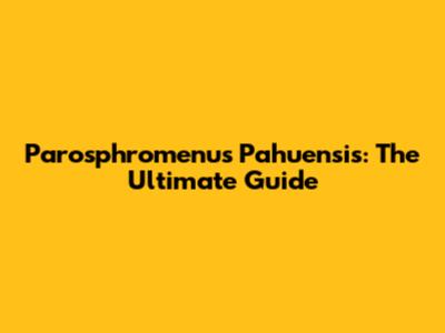Parosphromenus Pahuensis: The Ultimate Guide