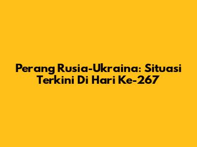 Perang Rusia-Ukraina: Situasi Terkini Di Hari Ke-267